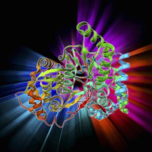 $row.ReTitle $row.ReTitle