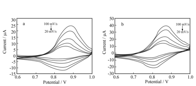 开云棋牌官网最新版
的电化学性质 开云棋牌官网最新版
的电化学性质