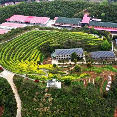 开云体育官方
新材50周年专题片正式开机 开云体育官方
新材50周年专题片正式开机