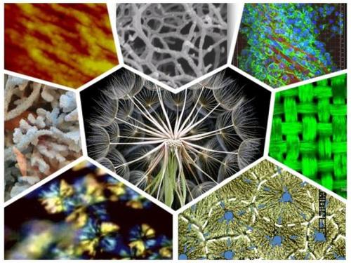 聚合物降解有哪几种类型 聚合物降解有哪几种类型