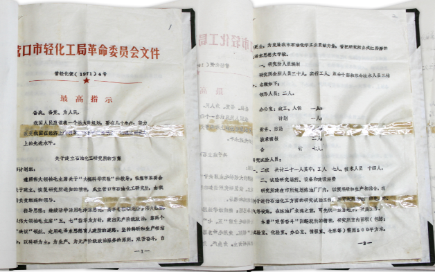营口市石油化工研究所成立批复文件