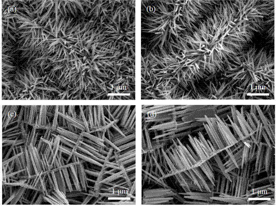 高温半导体P-N结器件 高温半导体P-N结器件