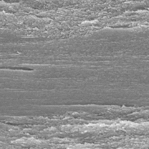 $row.ReTitle $row.ReTitle