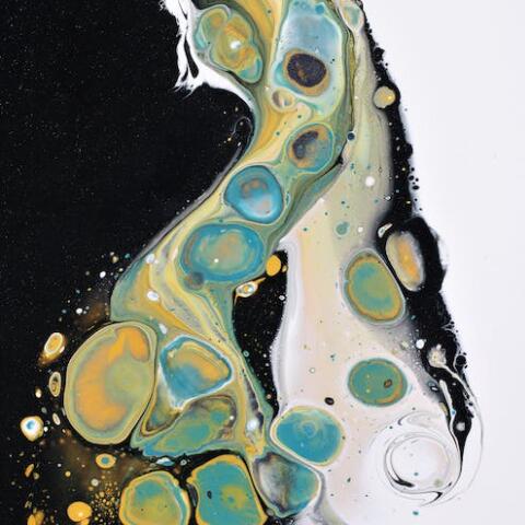 不锈钢与塑料粘合剂