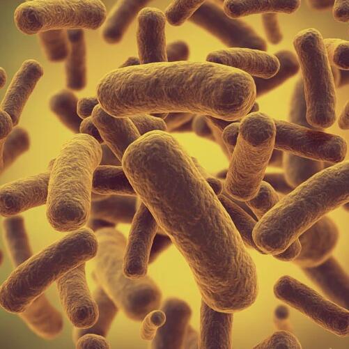 液态复合微生物菌肥 液态复合微生物菌肥